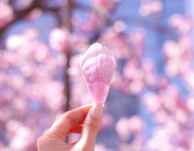 新年こそ、自分と人生を整えるチャンス